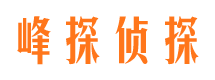 白塔侦探公司